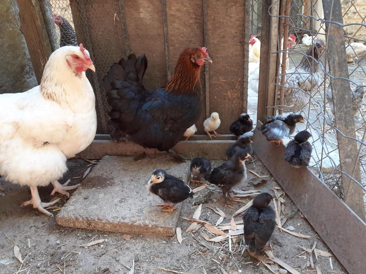 Gite De Leonie Moulin De Tartay En Awinion Zewnętrze zdjęcie